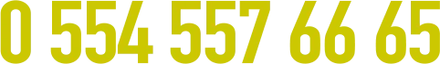 0 554 557 66 65